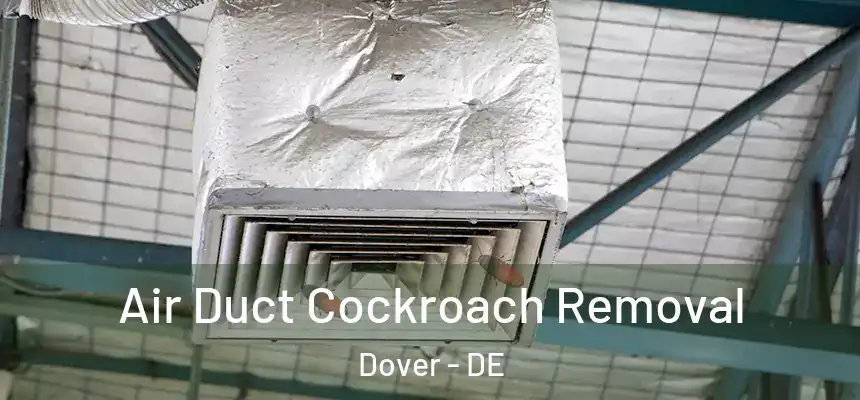  Air Duct Cockroach Removal Dover - DE