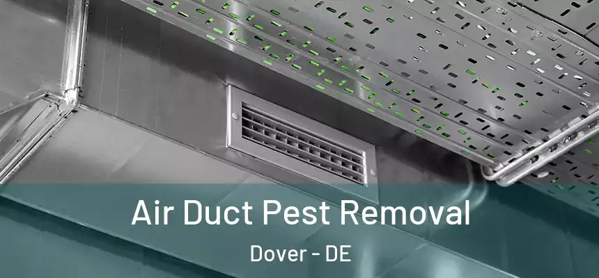 Air Duct Pest Removal Dover - DE