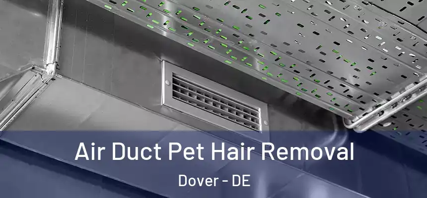 Air Duct Pet Hair Removal Dover - DE