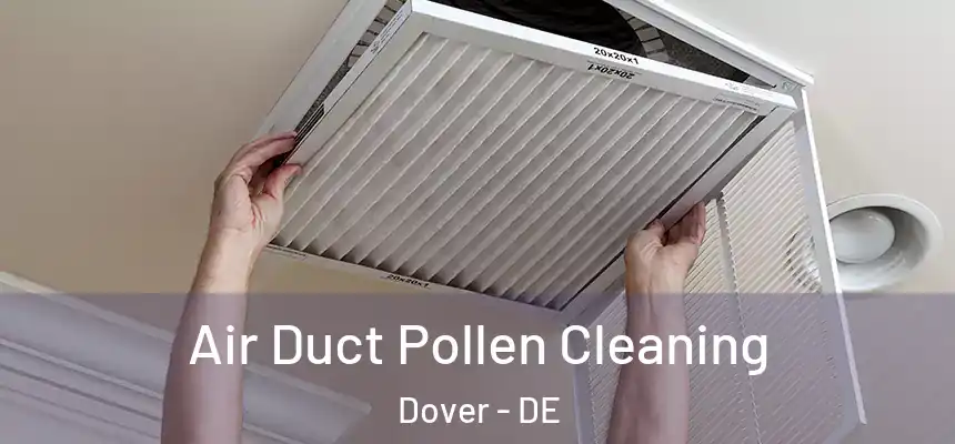  Air Duct Pollen Cleaning Dover - DE