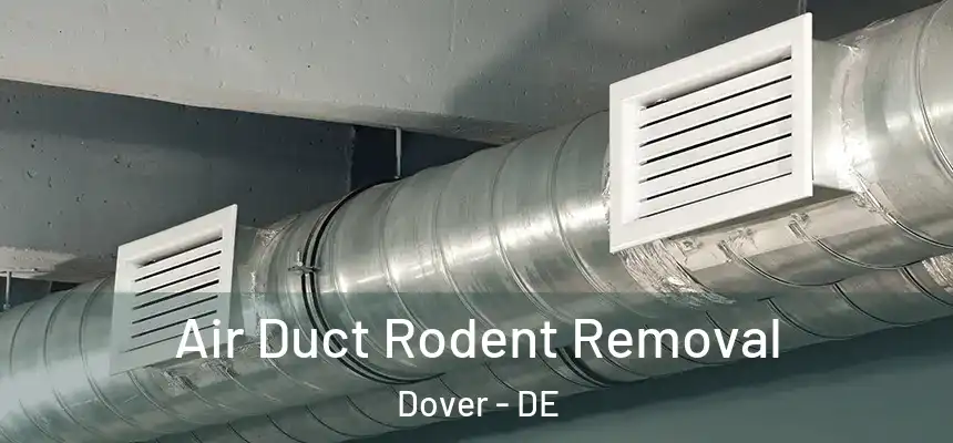 Air Duct Rodent Removal Dover - DE