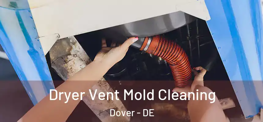  Dryer Vent Mold Cleaning Dover - DE