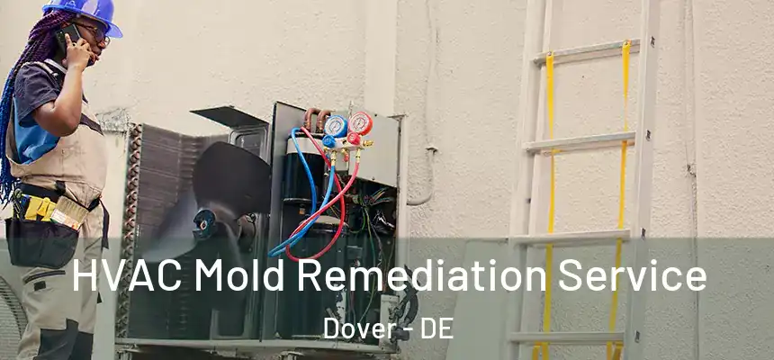  HVAC Mold Remediation Service Dover - DE