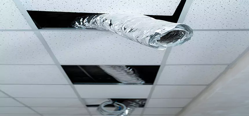 Our Air Duct Pet Hair Removal Services in Dover, DE