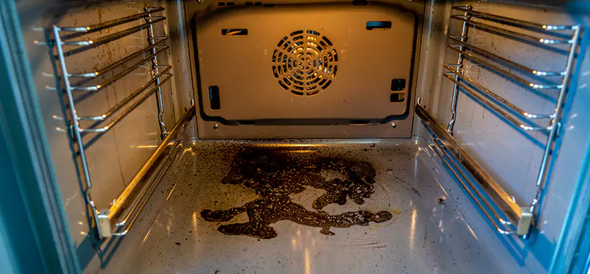 Our Dryer Vent Mold Cleaning Services in Dover, DE