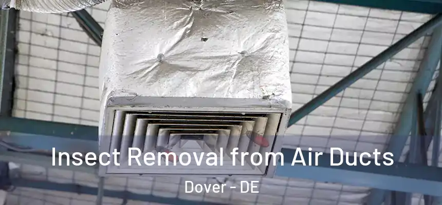  Insect Removal from Air Ducts Dover - DE