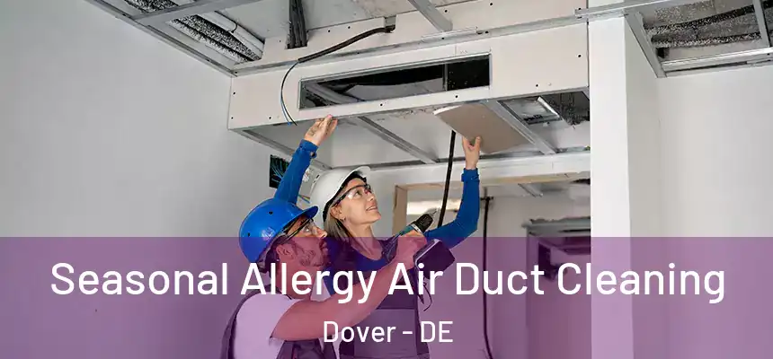 Seasonal Allergy Air Duct Cleaning Dover - DE