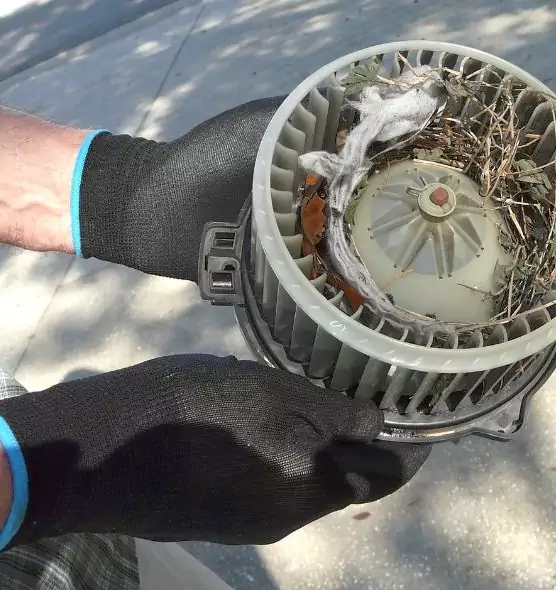 About Air Duct Mice Removal in Dover, DE