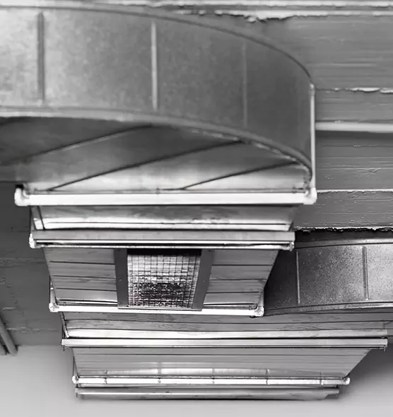 Professional Air Duct Pet Hair Removal in Dover, DE