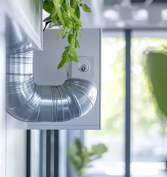 Professional Eco-Safe Dryer Vent Cleaning in Dover, DE