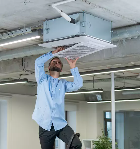 Advanced Rodent Droppings In Vents in Dover, DE