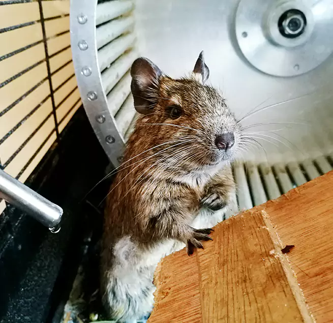 Why Homeowners & Businesses Trust Us Dover, DE