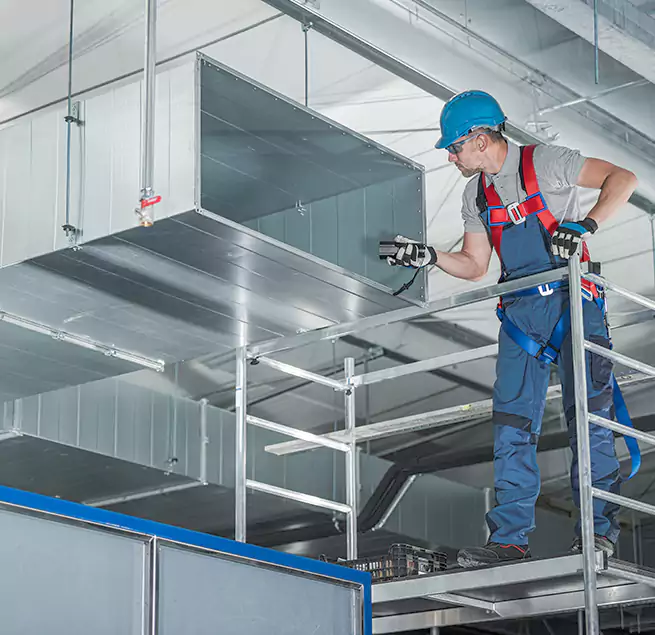 Why Homeowners & Businesses Trust Us in Dover, DE?