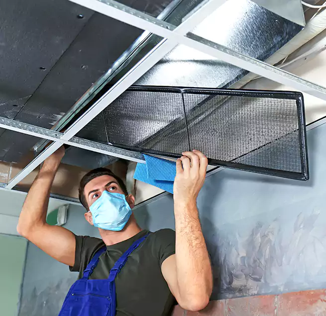 Why Homeowners Businesses Trust Us in Dover, DE