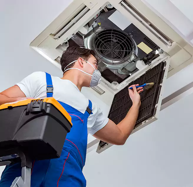 Why Homeowners & Businesses Trust Us in Dover, DE?