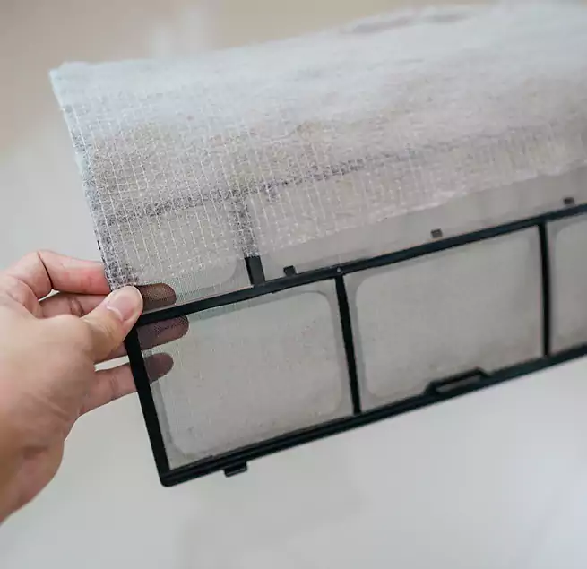 Why Homeowners & Businesses Trust Us in Dover, DE?