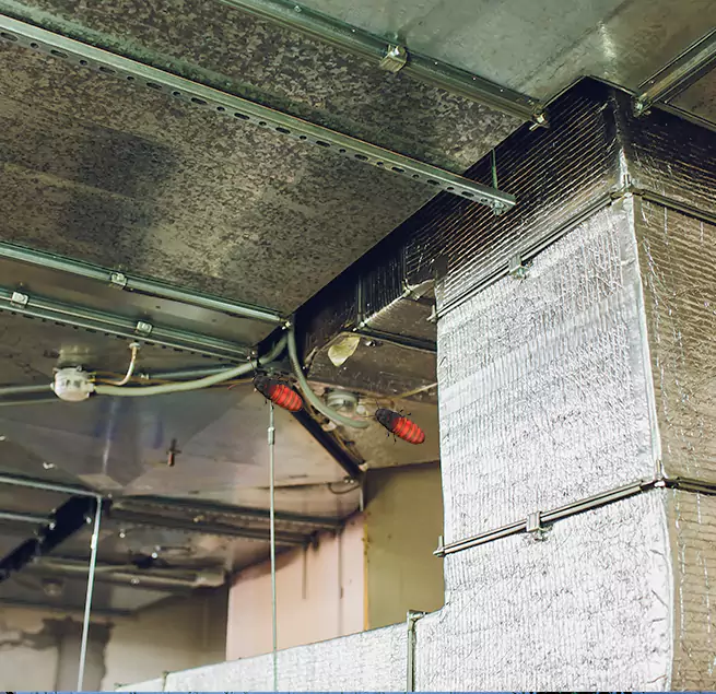 Why Homeowners & Businesses Trust Us Dover, DE?